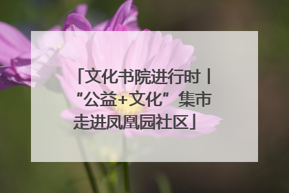 文化书院进行时丨“公益+文化”集市走进凤凰园社区