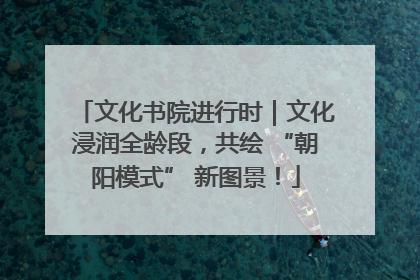 文化书院进行时｜文化浸润全龄段，共绘 “朝阳模式” 新图景！