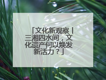 文化新观察丨三湘四水间，文化遗产何以焕发新活力？