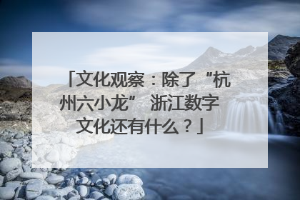 文化观察：除了“杭州六小龙” 浙江数字文化还有什么？