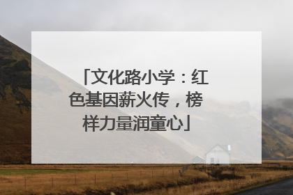 文化路小学：红色基因薪火传，榜样力量润童心
