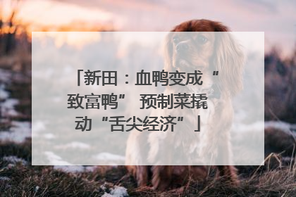 新田：血鸭变成“致富鸭” 预制菜撬动“舌尖经济”