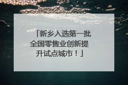 新乡入选第一批全国零售业创新提升试点城市！
