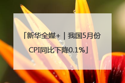 新华全媒+｜我国5月份CPI同比下降0.1%