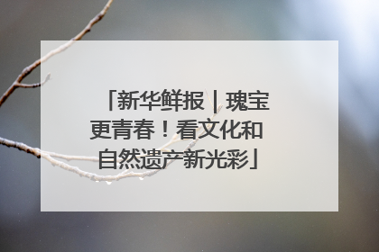新华鲜报｜瑰宝更青春！看文化和自然遗产新光彩