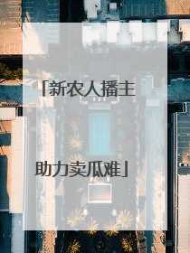 新农人播主 助力卖瓜难