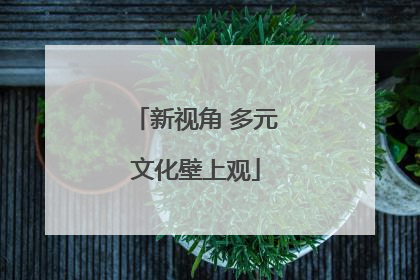 新视角 多元文化壁上观