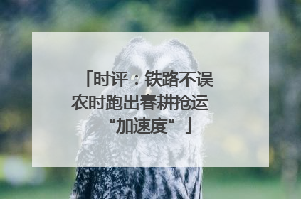 时评：铁路不误农时跑出春耕抢运“加速度”