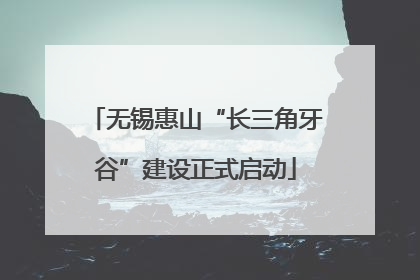 无锡惠山“长三角牙谷”建设正式启动