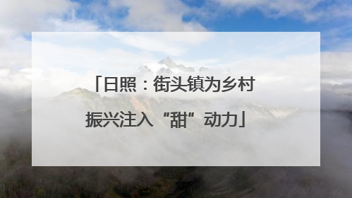 日照：街头镇为乡村振兴注入“甜”动力