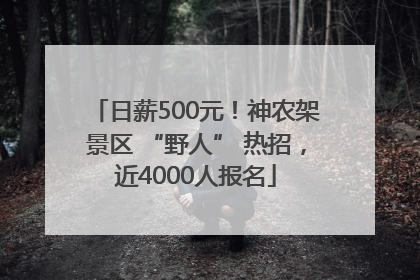 日薪500元！神农架景区 “野人” 热招，近4000人报名