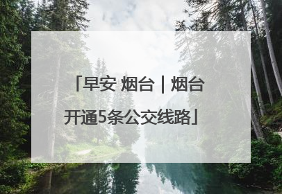 早安 烟台｜烟台开通5条公交线路