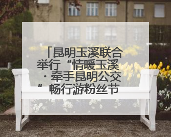 昆明玉溪联合举行“情暖玉溪・牵手昆明公交”畅行游粉丝节主题活动
