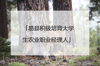 易县积极培育大学生农业职业经理人