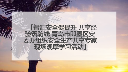 智汇安全促提升 共享经验筑防线 青岛市即墨区安委办组织安全生产共享专家现场观摩学习活动