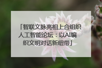 智联文脉亮相上合组织人工智能论坛：以AI编织文明对话新纽带
