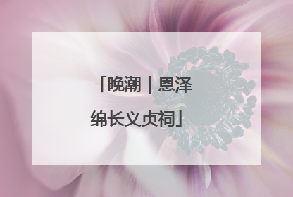 晚潮｜恩泽绵长义贞祠