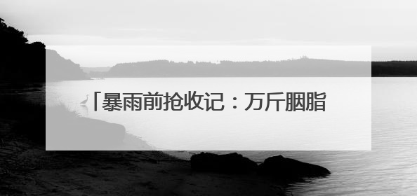 暴雨前抢收记：万斤胭脂红鲜桃传递“双向甜蜜”