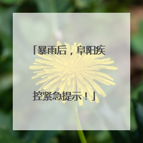 暴雨后,阜阳疾控紧急提示!