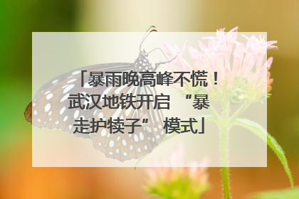暴雨晚高峰不慌！武汉地铁开启 “暴走护犊子” 模式