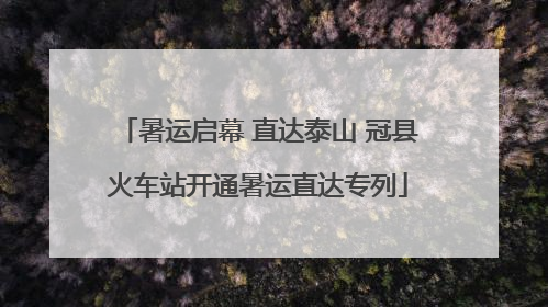 暑运启幕 直达泰山 冠县火车站开通暑运直达专列