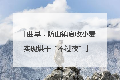 曲阜：防山镇夏收小麦实现烘干“不过夜”