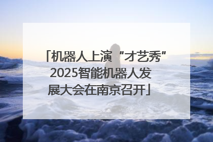 机器人上演“才艺秀” 2025智能机器人发展大会在南京召开