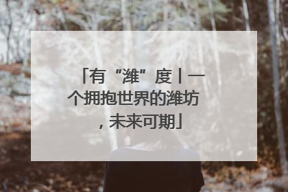 有“潍”度丨一个拥抱世界的潍坊，未来可期