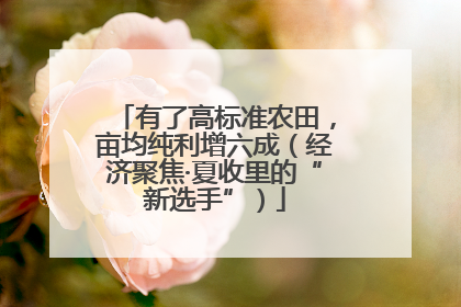有了高标准农田，亩均纯利增六成（经济聚焦·夏收里的“新选手”）
