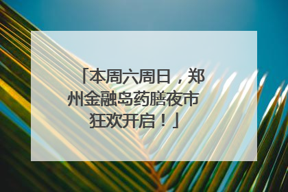本周六周日，郑州金融岛药膳夜市狂欢开启！