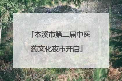 本溪市第二届中医药文化夜市开启