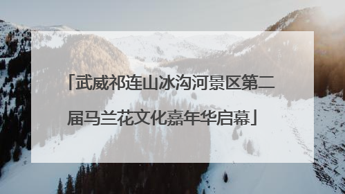 武威祁连山冰沟河景区第二届马兰花文化嘉年华启幕