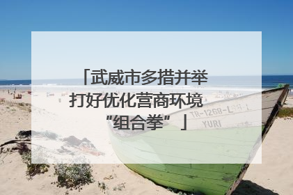 武威市多措并举打好优化营商环境“组合拳”