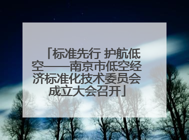 标准先行 护航低空——南京市低空经济标准化技术委员会成立大会召开
