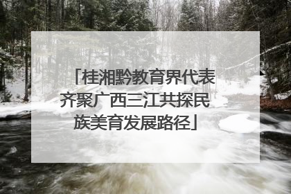 桂湘黔教育界代表齐聚广西三江共探民族美育发展路径