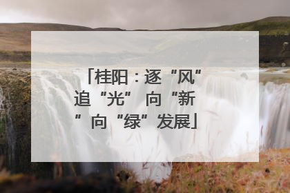 桂阳：逐“风”追“光” 向“新”向“绿”发展