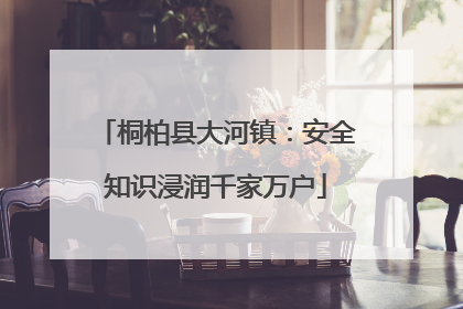 桐柏县大河镇：安全知识浸润千家万户