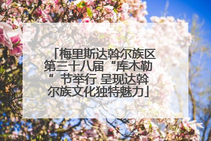 梅里斯达斡尔族区第三十八届“库木勒”节举行 呈现达斡尔族文化独特魅力