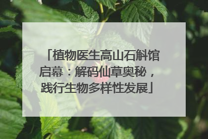 植物医生高山石斛馆启幕：解码仙草奥秘，践行生物多样性发展