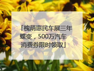 槐荫惠民车展三年蝶变，500万汽车消费券限时领取