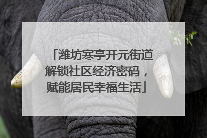 潍坊寒亭开元街道解锁社区经济密码，赋能居民幸福生活