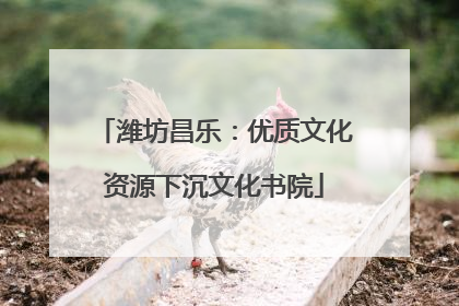 潍坊昌乐：优质文化资源下沉文化书院