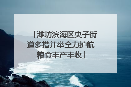 潍坊滨海区央子街道多措并举全力护航粮食丰产丰收