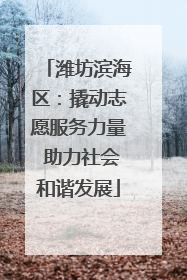 潍坊滨海区：撬动志愿服务力量 助力社会和谐发展