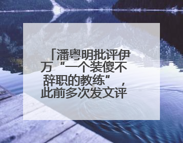 潘粤明批评伊万“一个装傻不辞职的教练”，此前多次发文评价国足