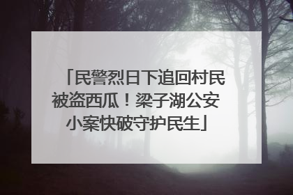 民警烈日下追回村民被盗西瓜！梁子湖公安小案快破守护民生