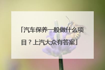 汽车保养一般做什么项目？上汽大众有答案