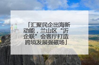 汇聚民企出海新动能，兰山区“沂企联”会客厅打造跨境发展强磁场