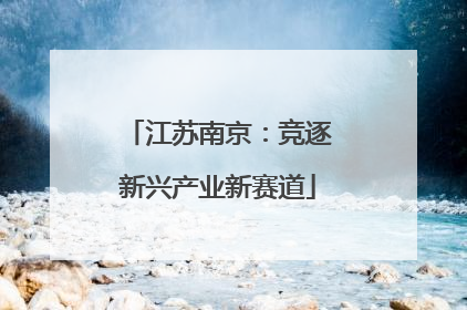 江苏南京：竞逐新兴产业新赛道