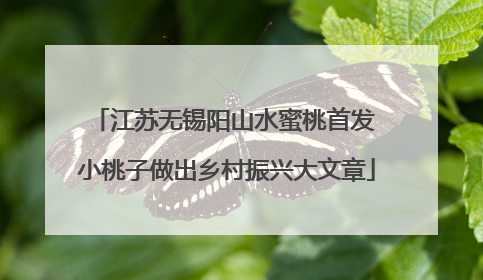 江苏无锡阳山水蜜桃首发 小桃子做出乡村振兴大文章